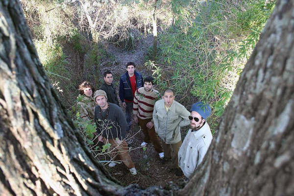 Reggae Livity Songs bajo las ramas